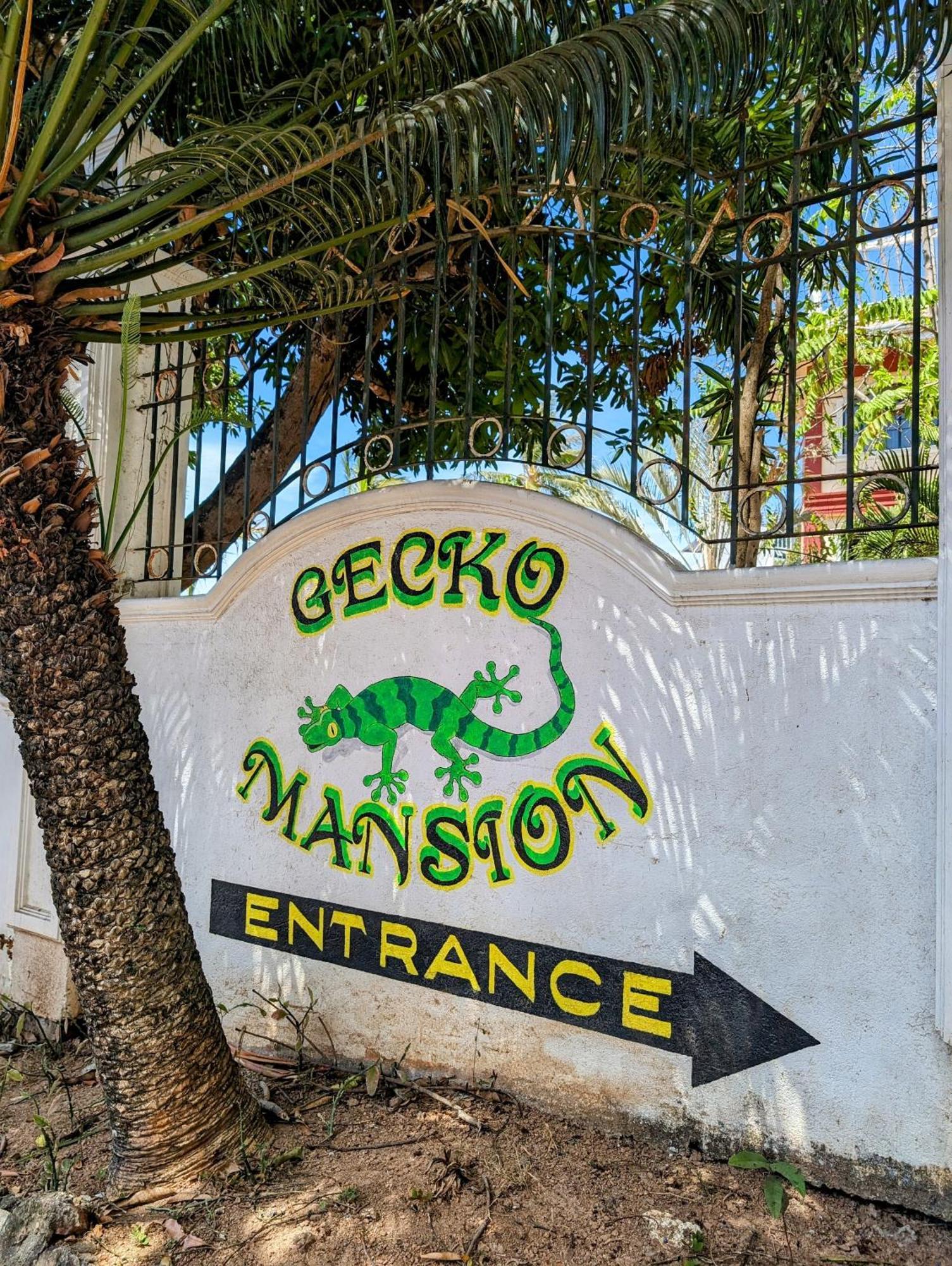 Screaming Gecko Hostel Busuanga Zewnętrze zdjęcie