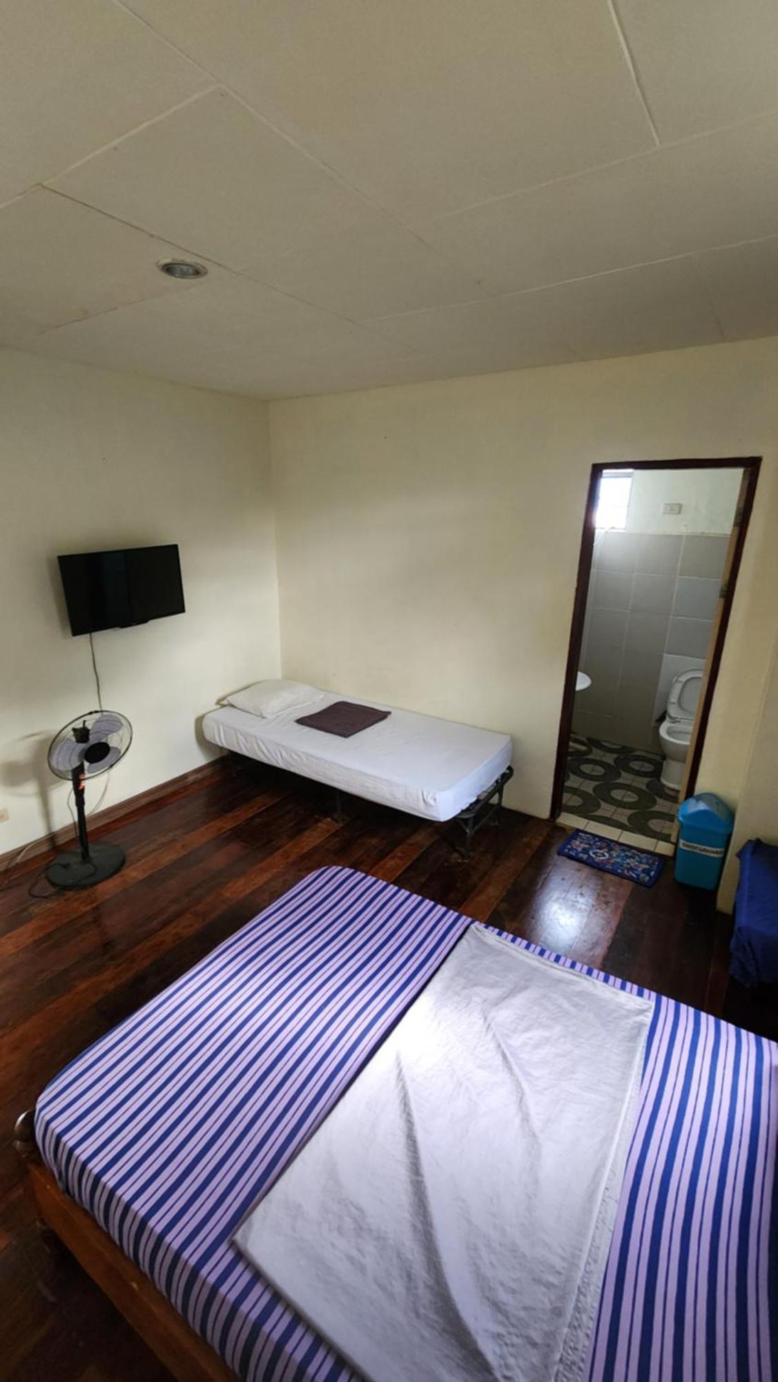 Screaming Gecko Hostel Busuanga Zewnętrze zdjęcie