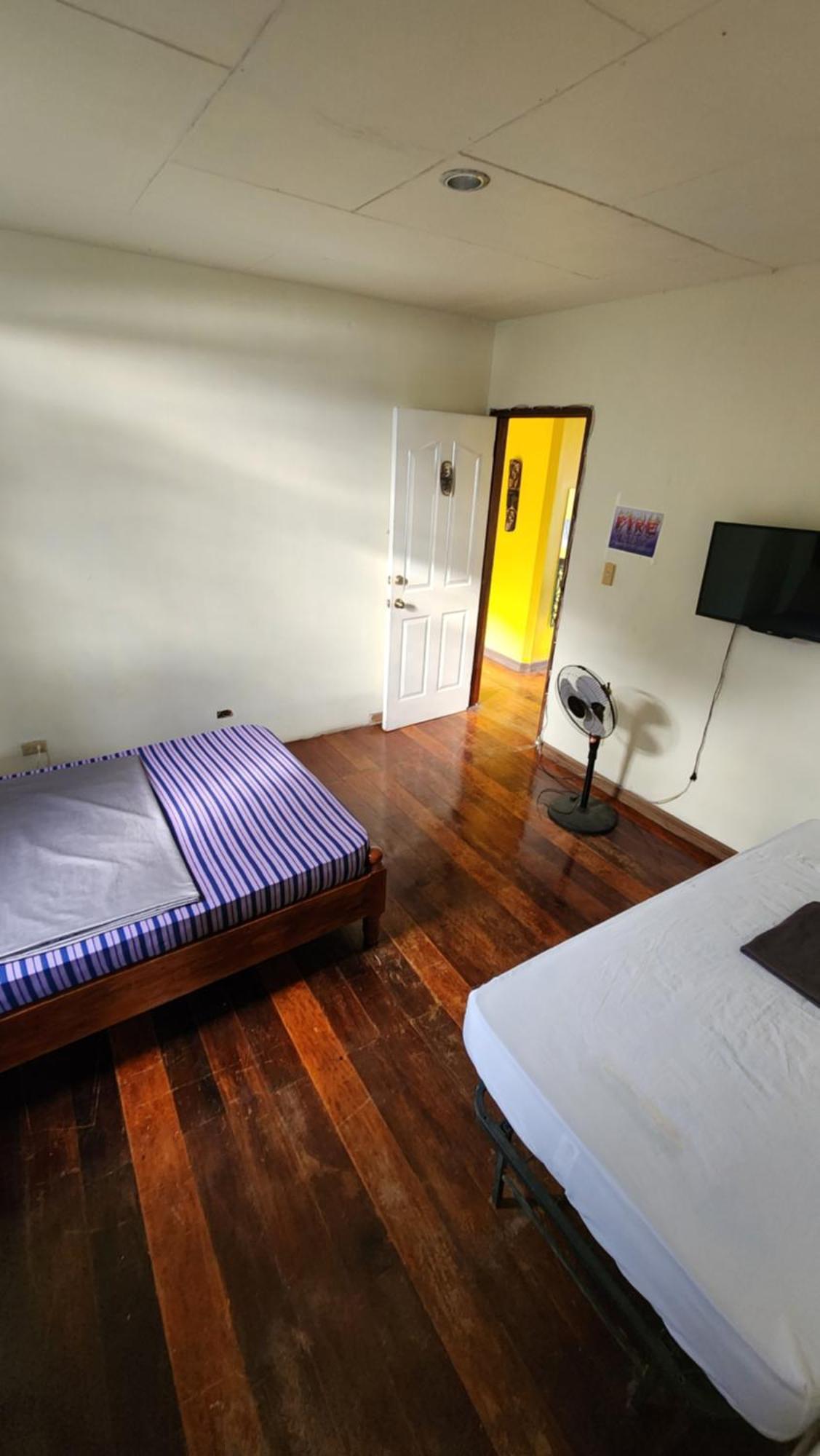 Screaming Gecko Hostel Busuanga Zewnętrze zdjęcie