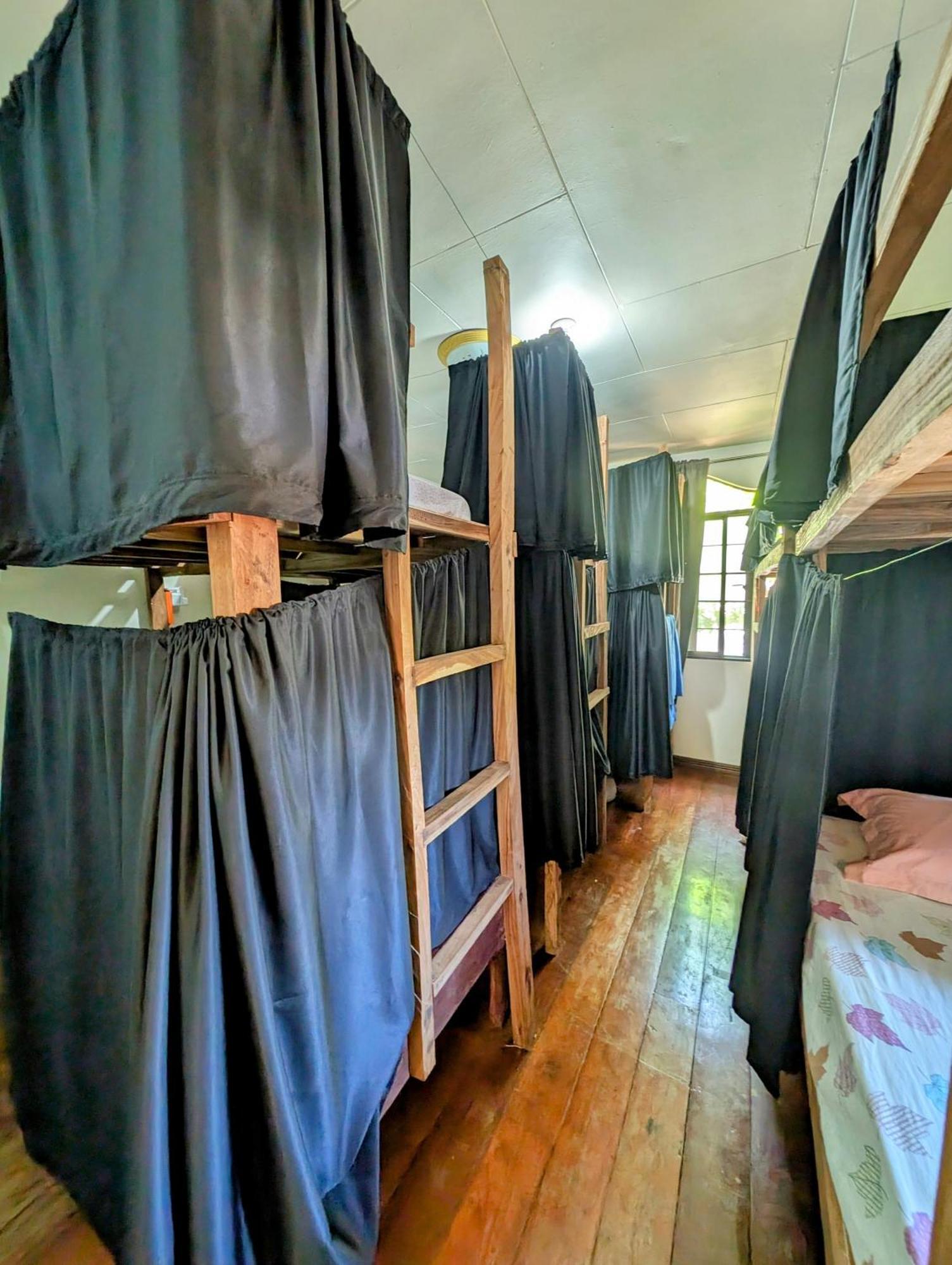 Screaming Gecko Hostel Busuanga Zewnętrze zdjęcie