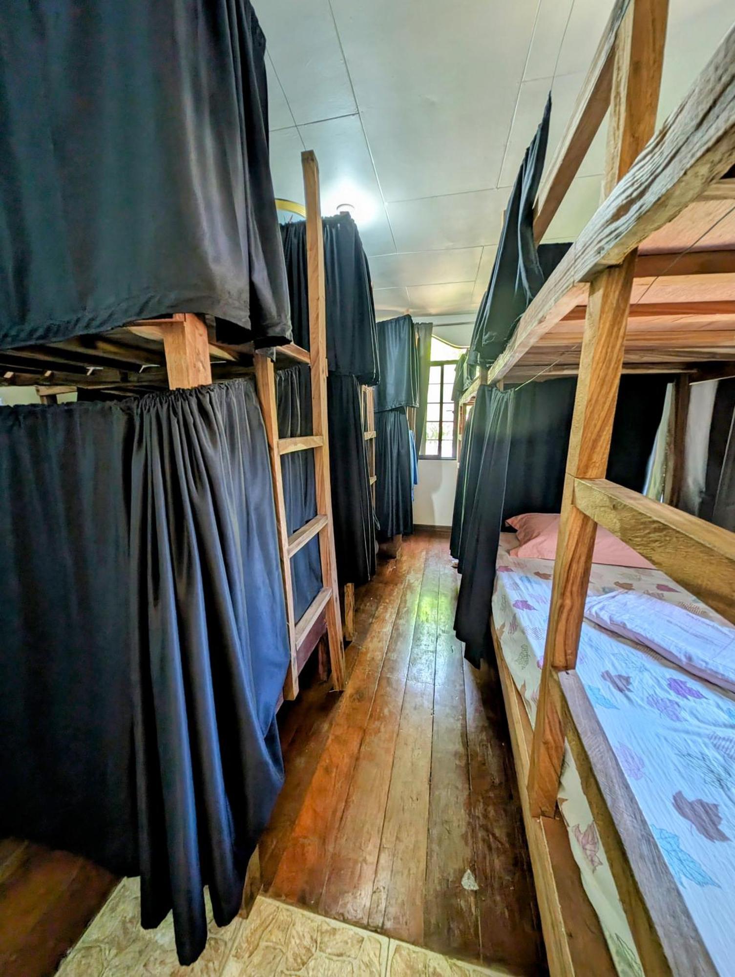 Screaming Gecko Hostel Busuanga Zewnętrze zdjęcie